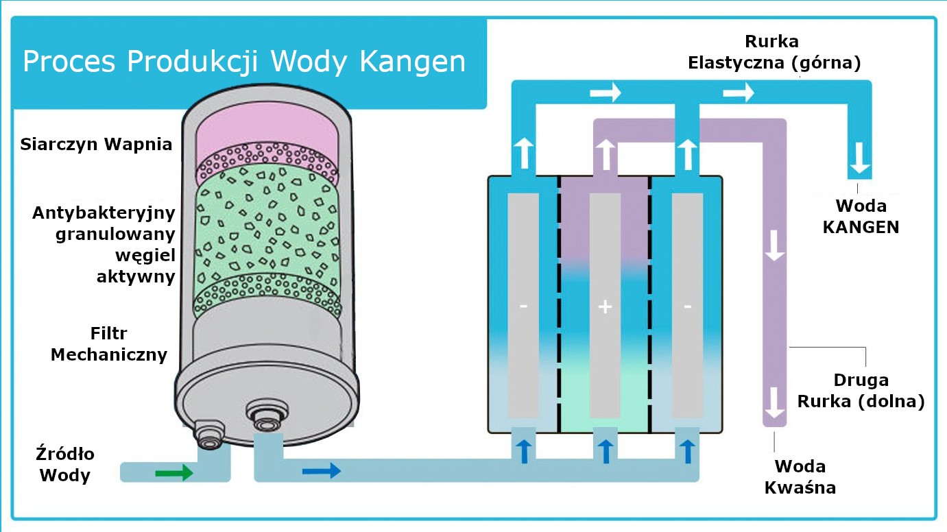 Jonizator wody Kangen Leveluk SD501 Platinium